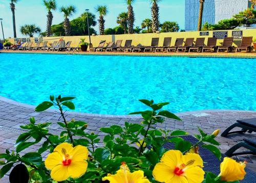 New ! Ocean Reef Resort-Unique Renovated Oceanfront Condo -Free parking - Amazing pools & Views photo 45
