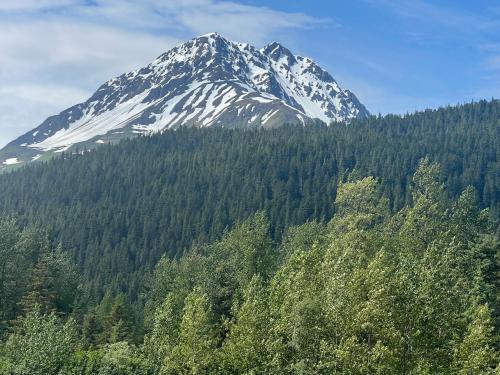 a snow covered mountain in the middle of a forest at glacier creek apartment in Seward