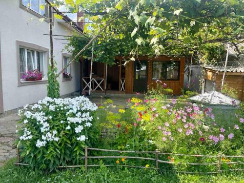 Zahrada ubytování Світанок у горах