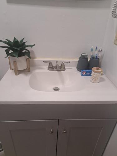 a bathroom sink with a potted plant on top of it at Fun Home in Pocono with Gameroom-Firpit-BBQ Grill-TV and AC in all rooms in Tobyhanna