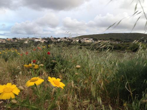 Φυσικό τοπίο κοντά σε αυτός ο ξενώνας