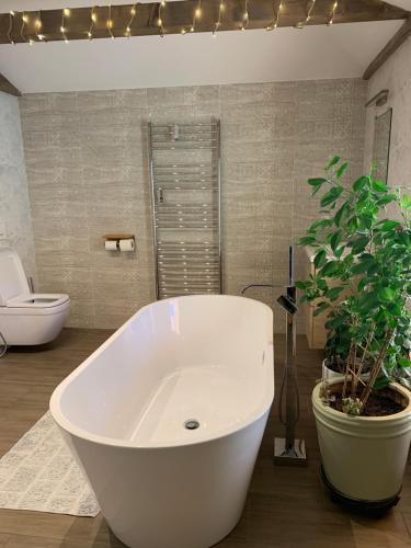 eine weiße Badewanne im Bad mit Pflanze in der Unterkunft Stonava-Mexiko, industry&pohoda-klid in Karviná