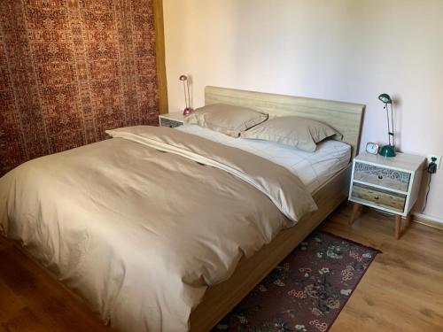 ein großes Bett in einem Schlafzimmer mit einem Nachttisch in der Unterkunft Stonava-Mexiko, industry&pohoda-klid in Karviná