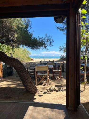 a view of the beach from the porch of a house at BOUGANVILLE casa vacanza ambiente climatizzato con wi fi in Pineto