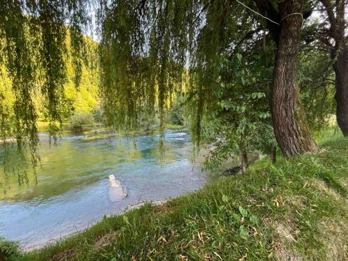 a river with a tree and some water at Apartman Serdjo 