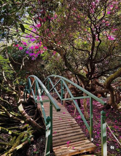 a wooden bridge with pink flowers and a tree at Manoir de Daubeuf in Daubeuf-Serville