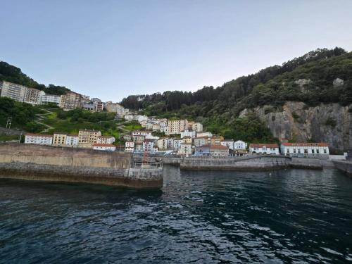 a view of a town from the water at Precioso apartamento en el puerto de Elantxobe in Elanchove