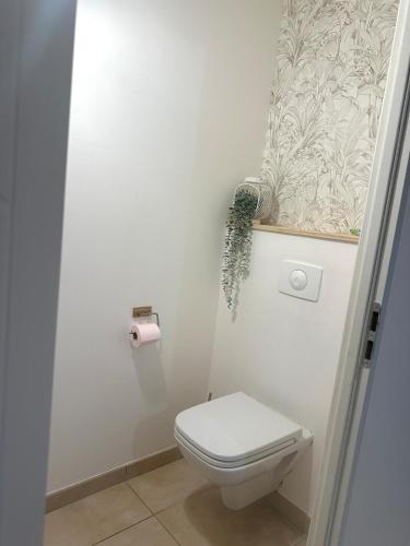 a white bathroom with a toilet and a roll of toilet paper at Nice and cosy appartement Annecy in Annecy