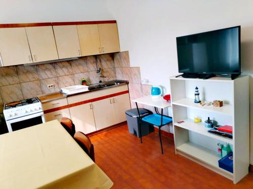 Kuchyň nebo kuchyňský kout v ubytování Apartments A & G Petrović