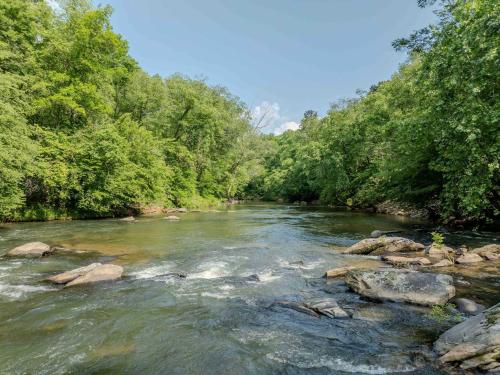 a river with rocks and trees on the side at Riverfront Home w Gameroom & Screened Porch in Ellijay