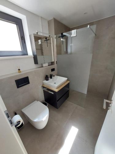a bathroom with a toilet and a sink and a shower at Ferienwohnung am Blender in Wiggensbach