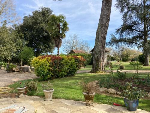 a garden with trees and plants in a yard at Le Chai de Montaigne in Montcaret