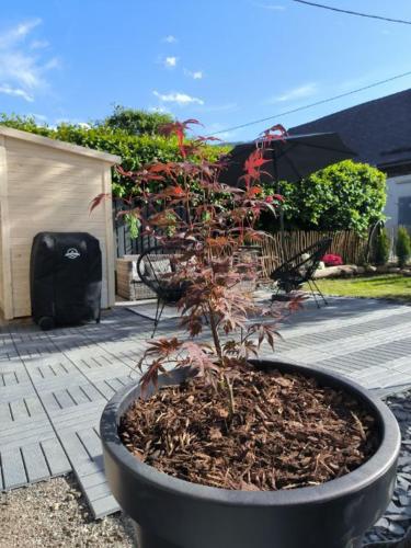 Ein Garten an der Unterkunft Steinstadl