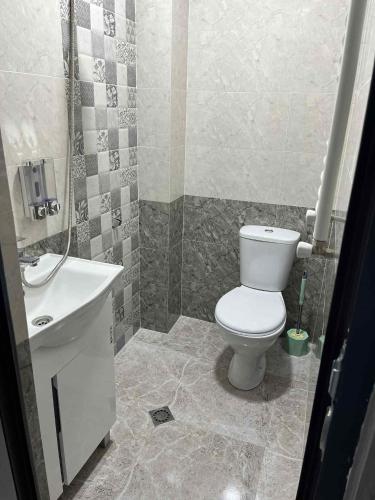 a bathroom with a toilet and a sink at OR-Ni in Borjomi
