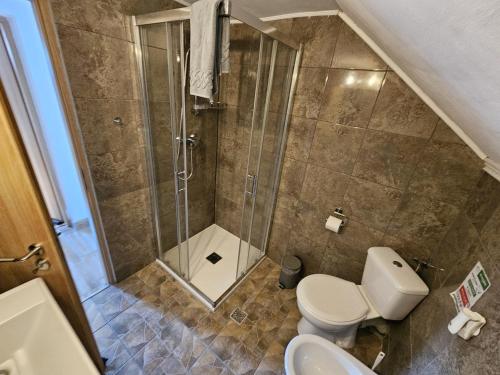 a bathroom with a shower and a toilet at Casa In Curte La Zavate in Bran
