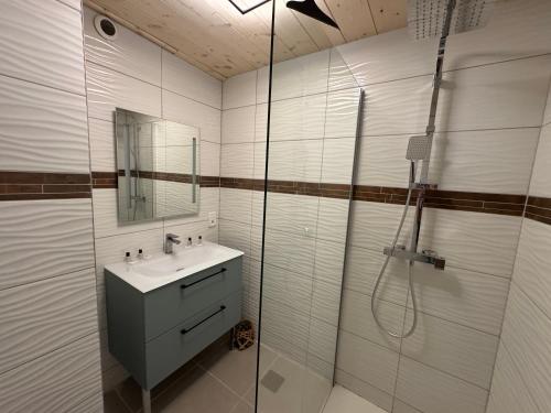 un bagno con doccia, lavandino e specchio di NEUF chalet 2p Le Suet JACUZZI privatif a Entremont