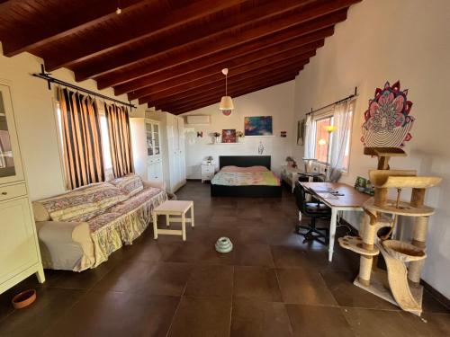 Digital Detox with 100 Animals Nature Stay