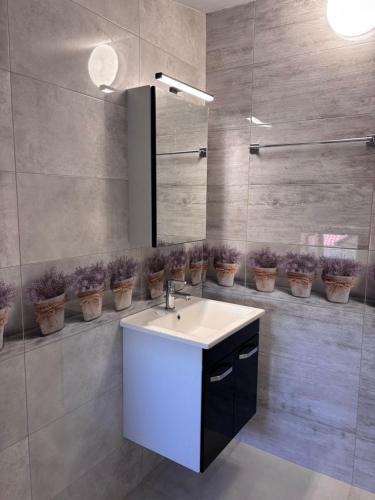 a bathroom with a sink and a mirror and some plants at Guest House Nikolovi in Lozenets