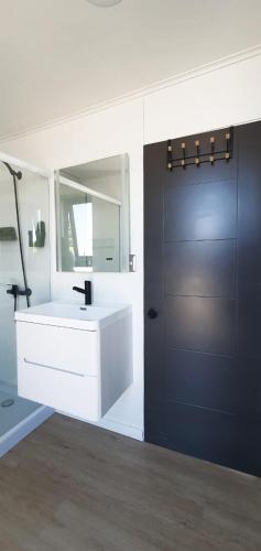 a bathroom with a white sink and a blue door at Tiny House El PANGAL in Cáhuil