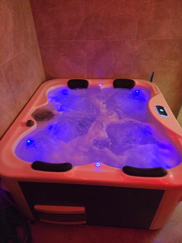 Gallery image of In lux spa apartman 2 in Vrnjačka Banja