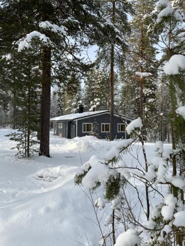 Riekonsoppi, two bedroom private cabin v zimě
