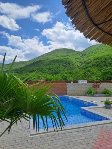 Kolam renang di atau dekat dengan Vila Nikola