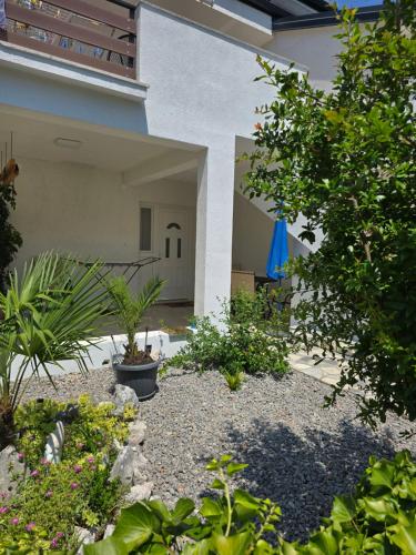 Apartment Knežević 2