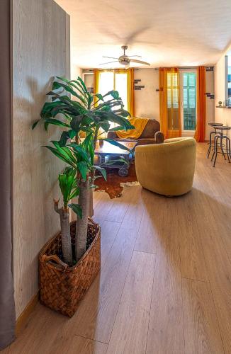 a living room with a plant and a couch at Appartement dans le centre médiéval in Hyères