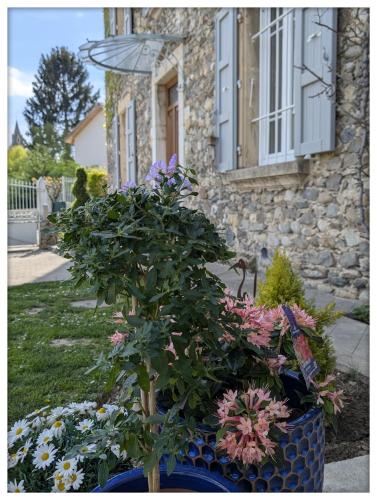 a plant in a blue pot in front of a house at La Maison d'Arlette - Maison d'Hôte et Gite au coeur de l'Isère à 10 mn de Voiron, capitale de la Chartreuse, et du Lac de Paladru in Saint-Blaise-du-Buis