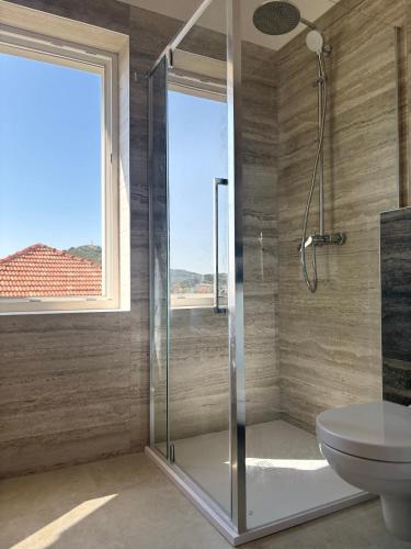 a bathroom with a shower and a toilet and a window at Villa Regina Apartment Carlito with swimming pool in Jezera