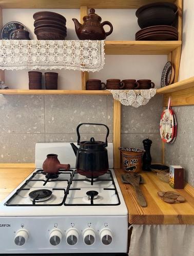 a tea kettle on a stove in a kitchen at Faina Garna Hata in Medvin