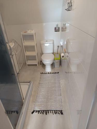 a small bathroom with a toilet and a rug at 117 in Łeba