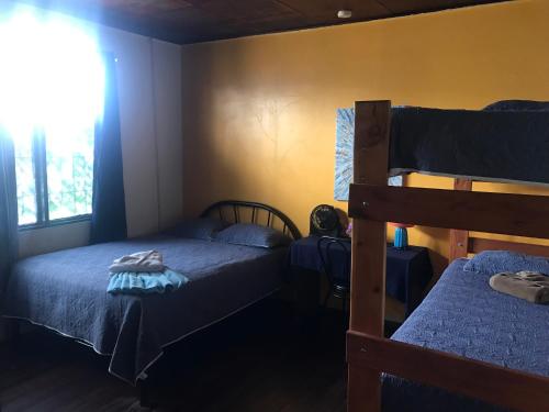 a bedroom with two bunk beds and a window at In the Wind Hostel and Guesthouse in San José