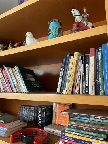 a book shelf filled with lots of books at Kasa Kaya in Araraquara