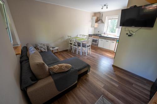 a living room with a couch and a kitchen at Spokojna 10 Dom Wakacyjny w Ogrodzie in Polańczyk