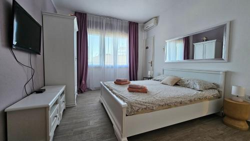 Three Olive Trees Apartment - Okrug, Ciovo Dalmatia