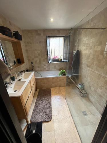 Loft, terrasse, Montpellier, quartier carré du roi, Arceaux,