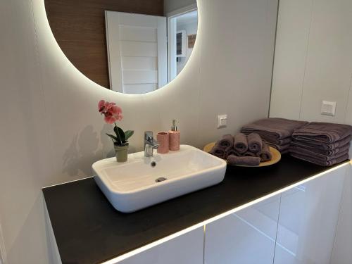 a bathroom with a sink and a mirror at Premium Chalet A in Ebenzweier