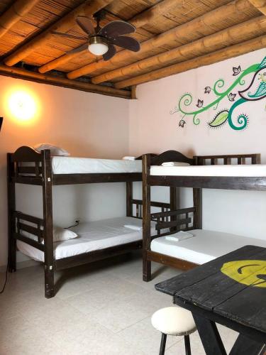 two bunk beds in a room with a ceiling at La Tortuga Hostel in Taganga