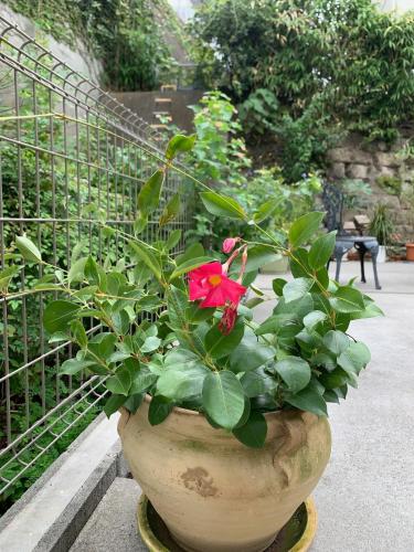 Giardino di Calm Enoshima 101 - Vacation STAY 29146v