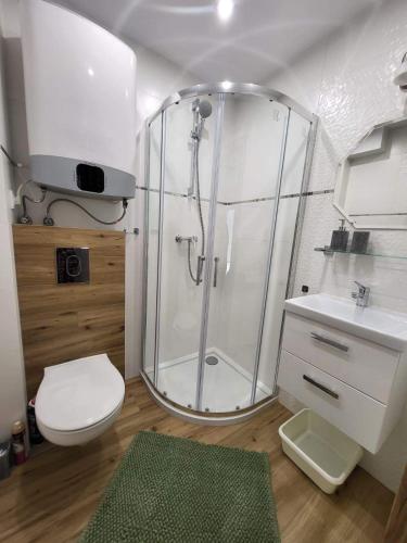 a bathroom with a shower and a toilet and a sink at Apartamenty Modrzewiowa Enklawa in Debina