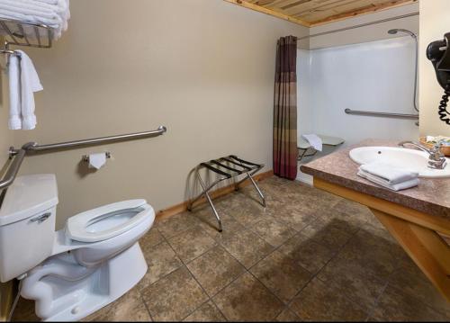a bathroom with a toilet and a sink at Rock Crest Lodge & Cabins in Custer