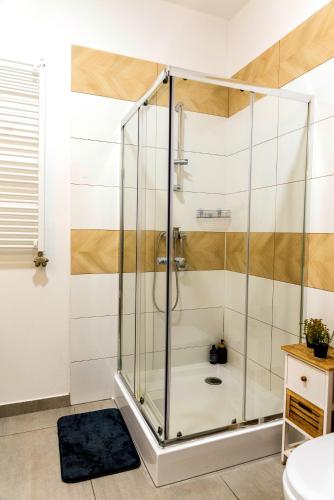 a shower with a glass door in a bathroom at Apartament na Okrężnej in Świebodzin