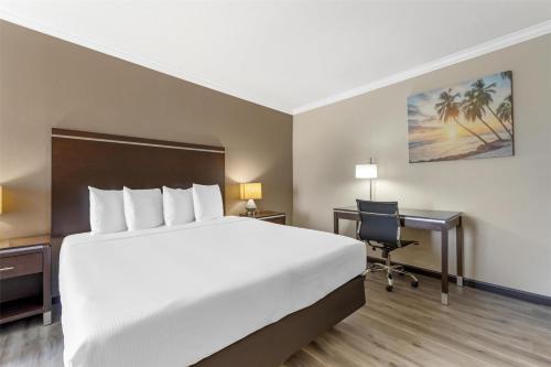 a hotel room with a large bed and a desk at Best Western Redondo Beach Galleria Inn Hotel - Beach City LA in Redondo Beach
