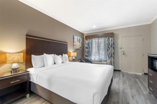 a hotel room with a large bed and a television at Best Western Redondo Beach Galleria Inn Hotel - Beach City LA in Redondo Beach