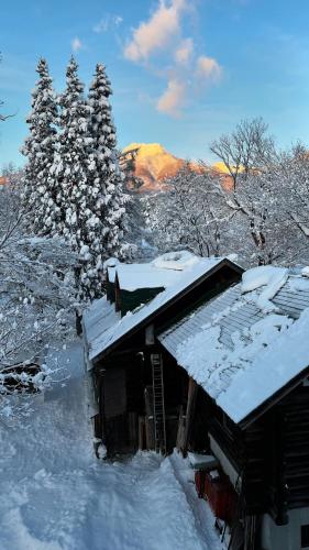 a snow covered cabin with trees and mountains in the background at Myoko Forest Lodge in Myoko