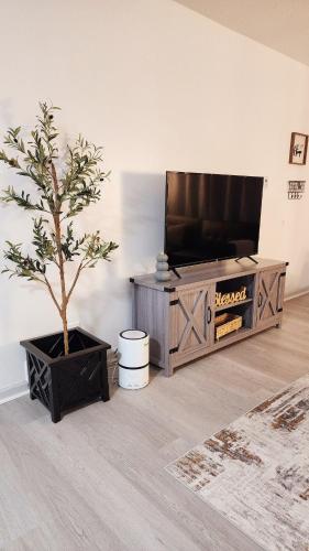 a living room with a tv and a potted tree at Grand Manor - Big 2 Bedroom - USA Side in Niagara Falls