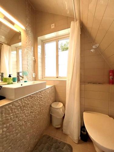 a bathroom with a sink and a toilet and a shower at DR ÅSA Apartment Penthouse w Pool by the Forest near a Golf course, Concerts and the Baltic Sea in Järna