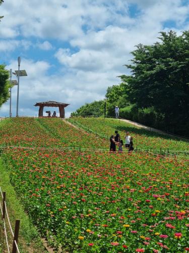 a group of people standing in a field of flowers at 정스테이 서울 잠실 롯데월드 kspodome 아산병원 길동 코엑스 성수명동강남동대문 in Seoul
