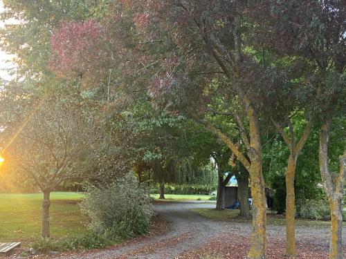 a dirt road through a park with trees at Fairhall Guest Lodge in Woodbourne